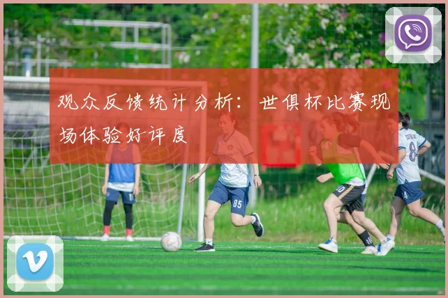 观众反馈统计分析：世俱杯比赛现场体验好评度