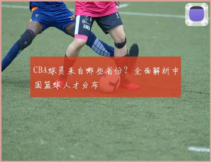 CBA球员来自哪些省份？全面解析中国篮球人才分布