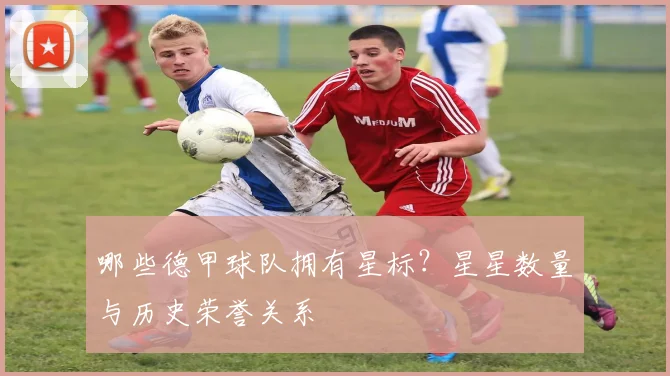 哪些德甲球队拥有星标？星星数量与历史荣誉关系