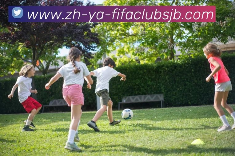 多媒体互动体验