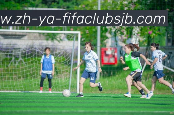 世界杯赛程APP 高清赛事图